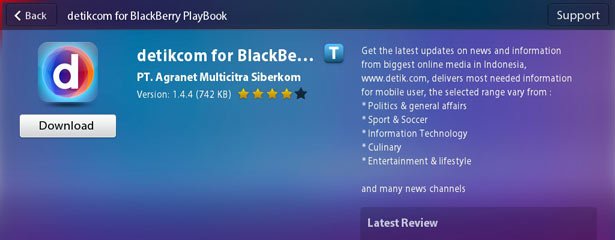 detik-playbook